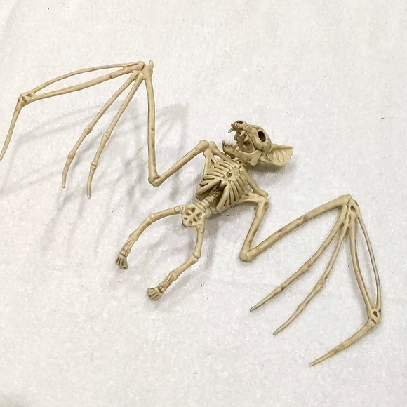 Set of plastic scorpion and bat skeletons. Creepy but awesome! Halloween 🎃 - Picture 4 of 6